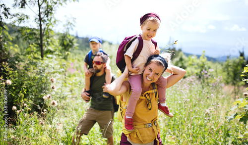 Fotografiet Family with small children hiking outdoors in summer nature.