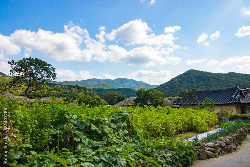 한국의 전통 민속 마을 Stock Photo | Adobe Stock