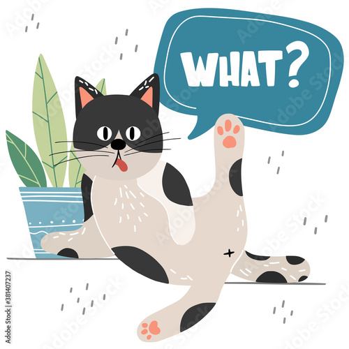 Cute cat in funny pose and lettering. Speech bubble and question What. Scandinavian cartoon animal in flat hand drawn style. Vector pet concept for children's books, print, poster, fabric, stickers.