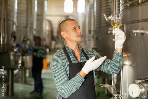 Portrait of experienced wine producer with glass of white wine, inspecting its quality in workshop of winery .. photo