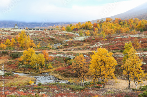 Fall in Norway