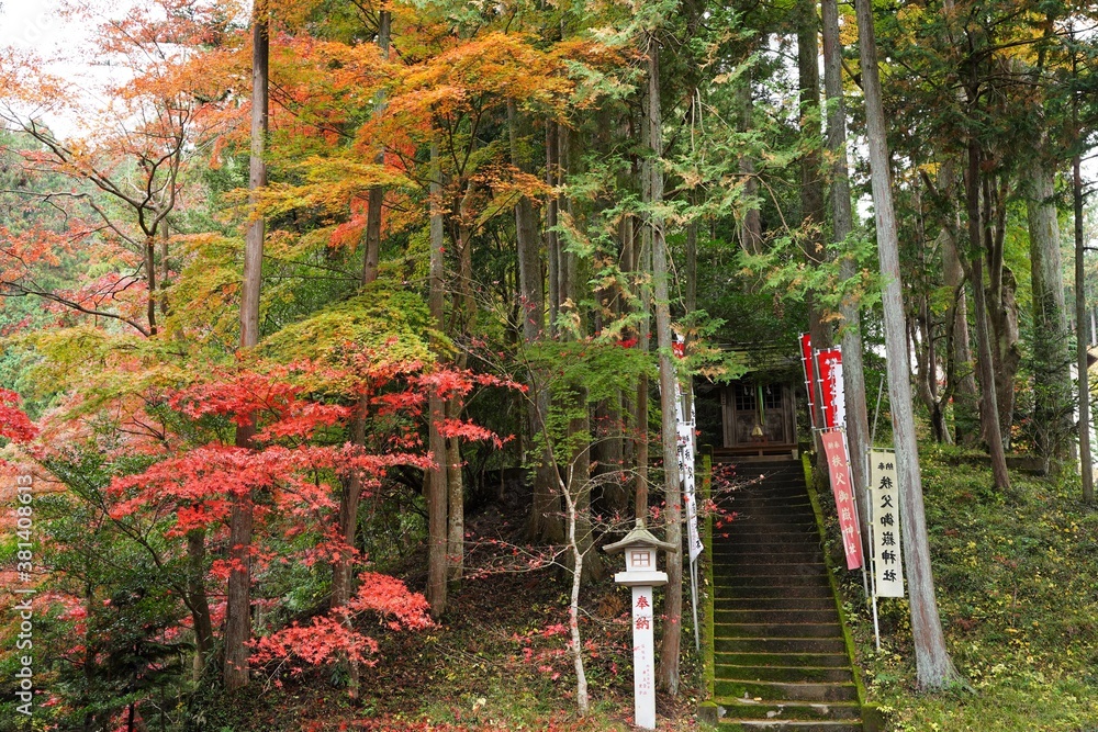 Fototapeta premium Japanese text on red flag is 