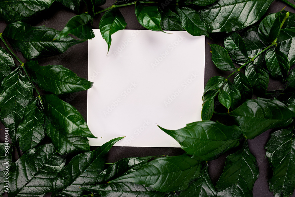 Mockup of white blank card on a dark background with green leaves on the sides Mockup of white blank card on a dark background with green leaves on the sides