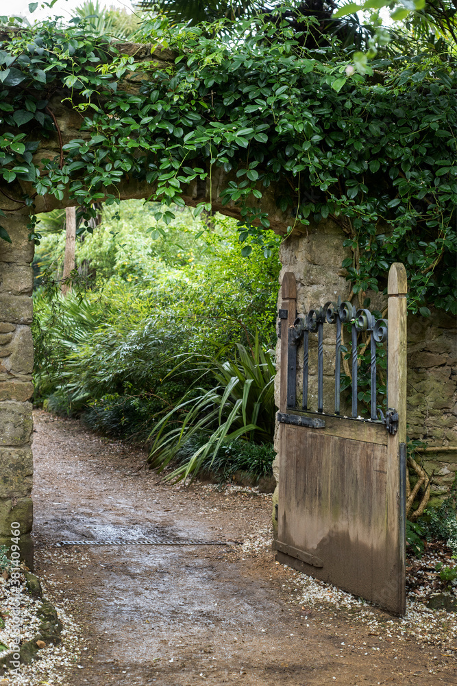Naklejka premium old wooden gate