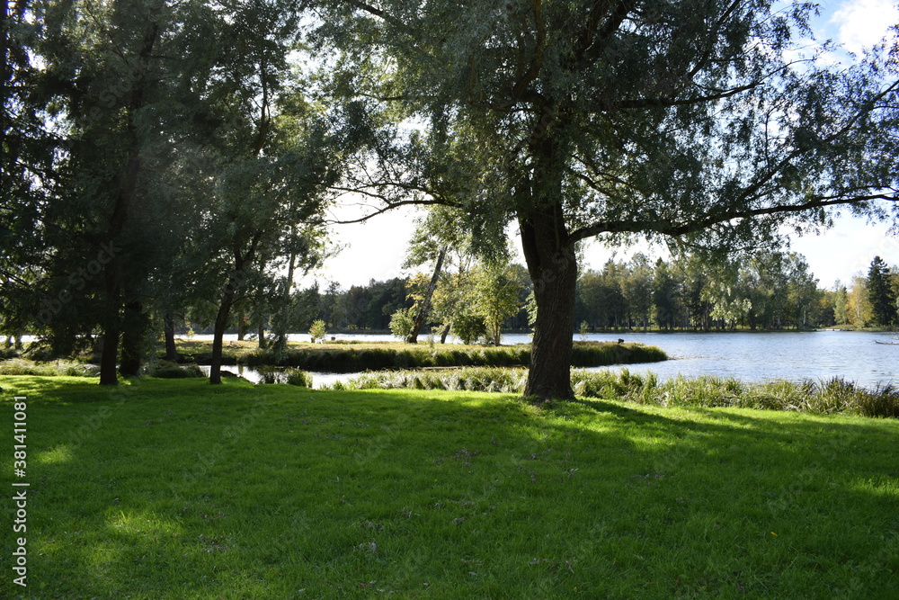 Fototapeta premium lake in the park