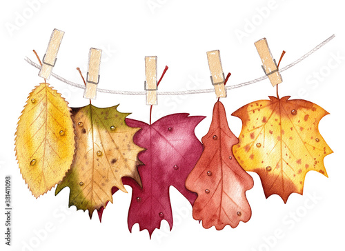 Autumn colorful leaves with drops of water hanging on cotton rope with wooden clothespins. Hand painted watercolor illustration on white background