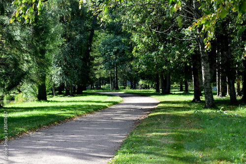 alley in the park