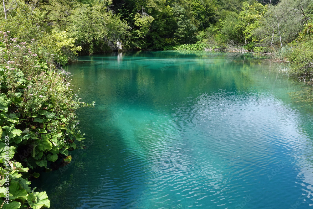 Fototapeta premium Im Nationalpark Plitvicer Seen, Kroatien