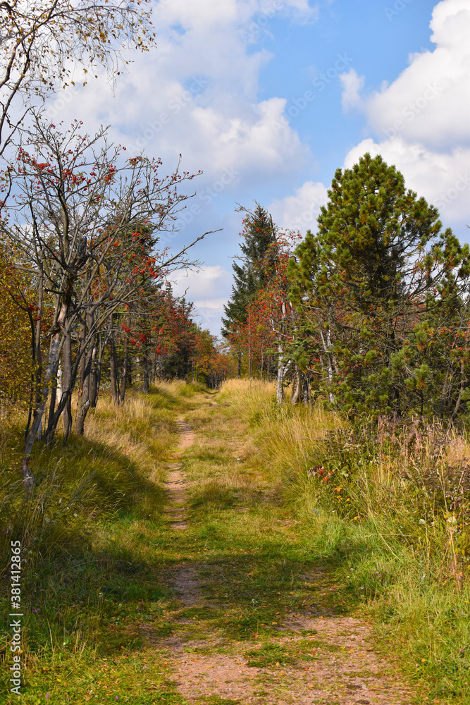 Fototapeta premium Lugstein
