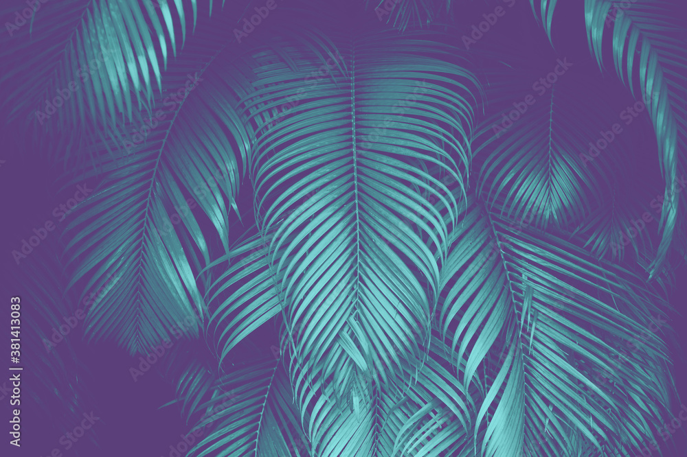 Neon tropical background. Green and purple palm tree leaf background. 
