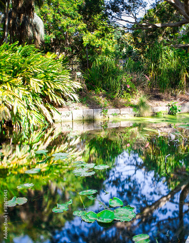 Day long exposure of a Pond in botanical gardens Sydney Australia