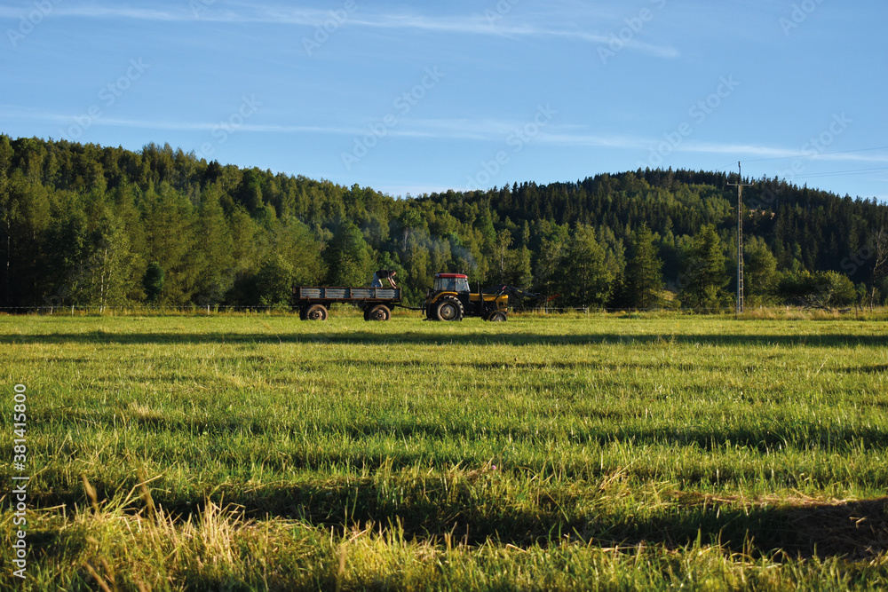 Fototapeta premium Tschechien, Riesengebirge