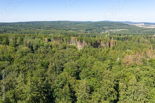 Bird's eye view of partially sick and dead forest in the Taunus / Germany