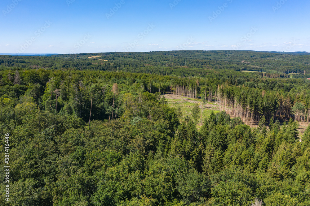 Bird's eye view of partially sick and dead forest in the Taunus / Germany