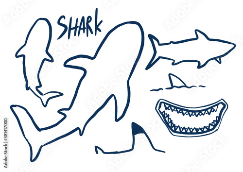 Blue shark sketch line icon