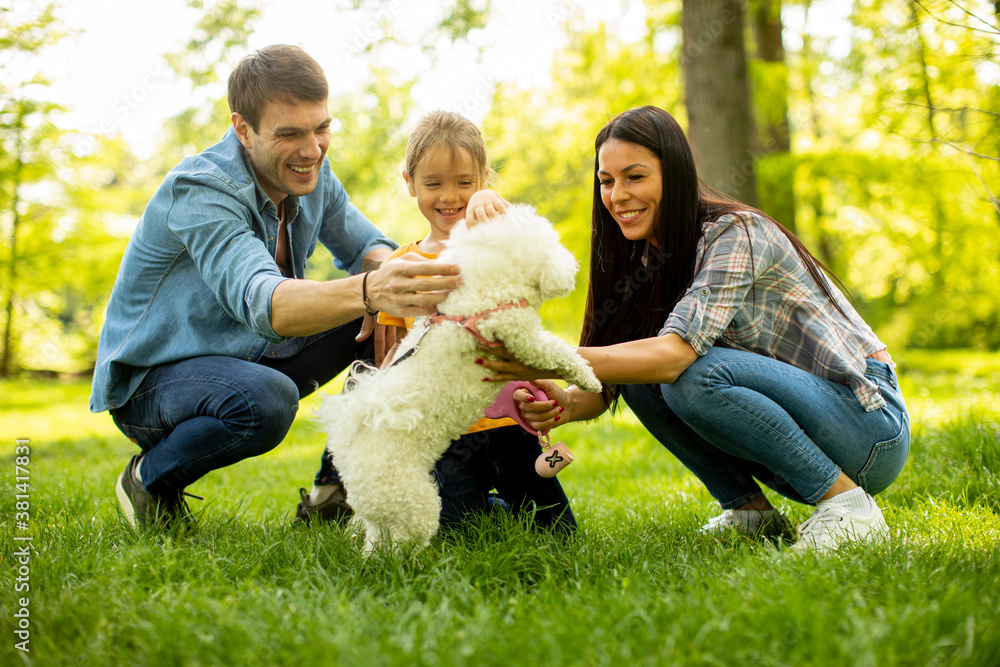 Beautiful happy family is having fun with bichon dog outdoors Beautiful happy family is having fun with bichon dog outdoors