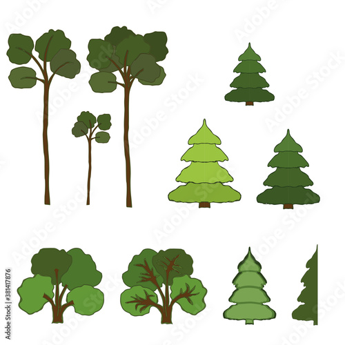 collection of various trees. Isolated on a white background