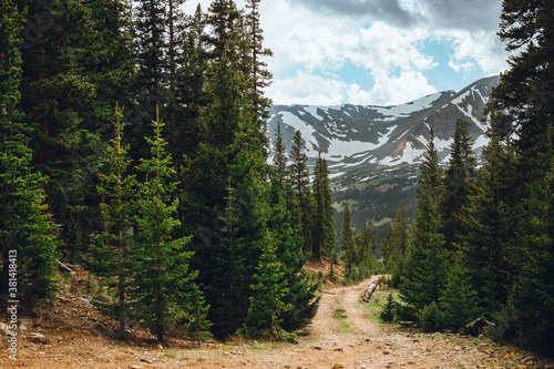 Colorado trail among the pine tree forest. Hiking and off road trail near the mountains. Summer outdoor activities.