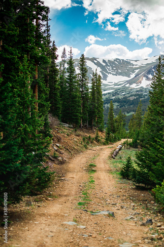Colorado trail among the pine tree forest. Hiking and off road trail near the mountains. Summer outdoor activities.