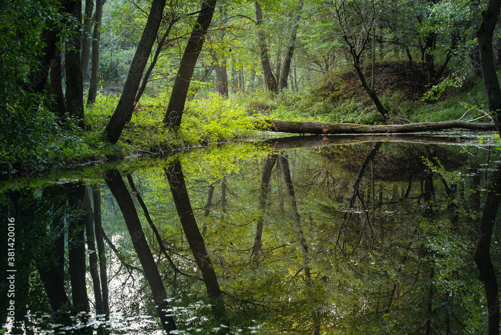 Biała Przemsza, a wild river in Malopolska, Poland.