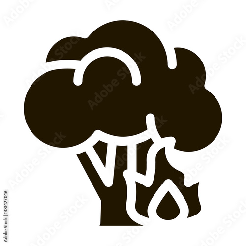 Fire Burning Tree glyph icon vector. Fire Burning Tree Sign. isolated symbol illustration