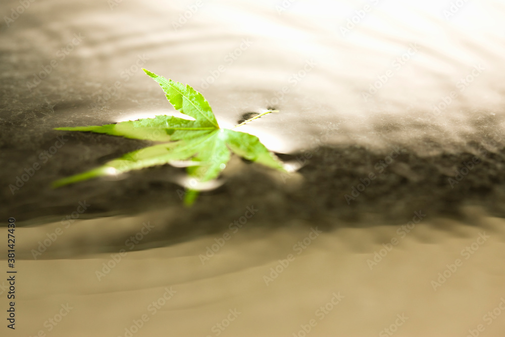 Obraz premium 和風イメージ