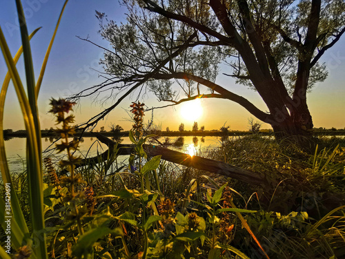Natur am Fluss - Nature at River