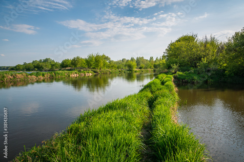 Obraz na płótnie The mouth of the Pilica river to the Vistula river near Mniszew, Masovia, Poland w salonie