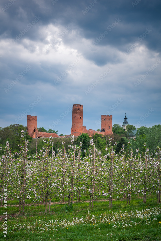 Castle and blooming apple trees in Czersk, Poland