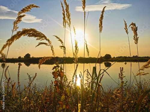 Natur am Fluss - Nature at River
