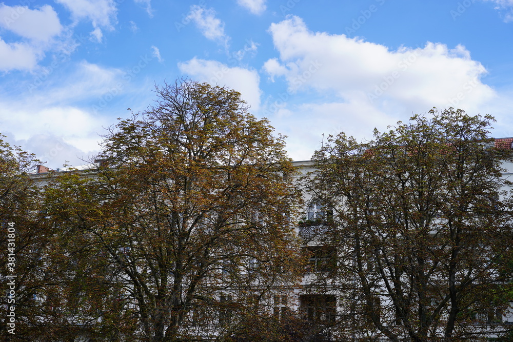 Alte Architektur am Landwehrkanal in Berlin-Kreuzberg hinter herbstlichen Kastanien bei Sonnenschein Alte Architektur am Landwehrkanal in Berlin-Kreuzberg hinter herbstlichen Kastanien bei Sonnenschein