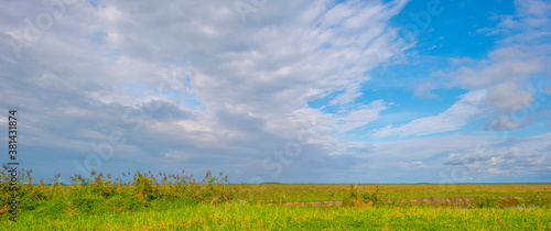 The edge of a lake in a green grassy field in sunlight under a blue cloudy sky in autumn, Almere, Flevoland, The Netherlands, September 27, 2020