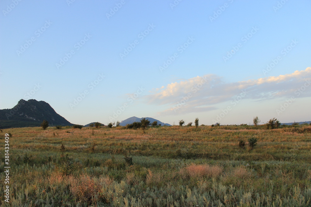 Summer natural landscape with mountains in the background.