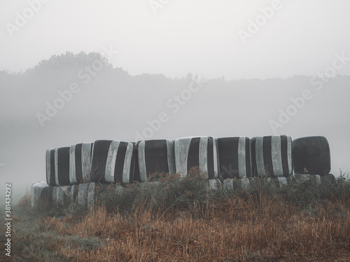 Hay bales in morning mist photo
