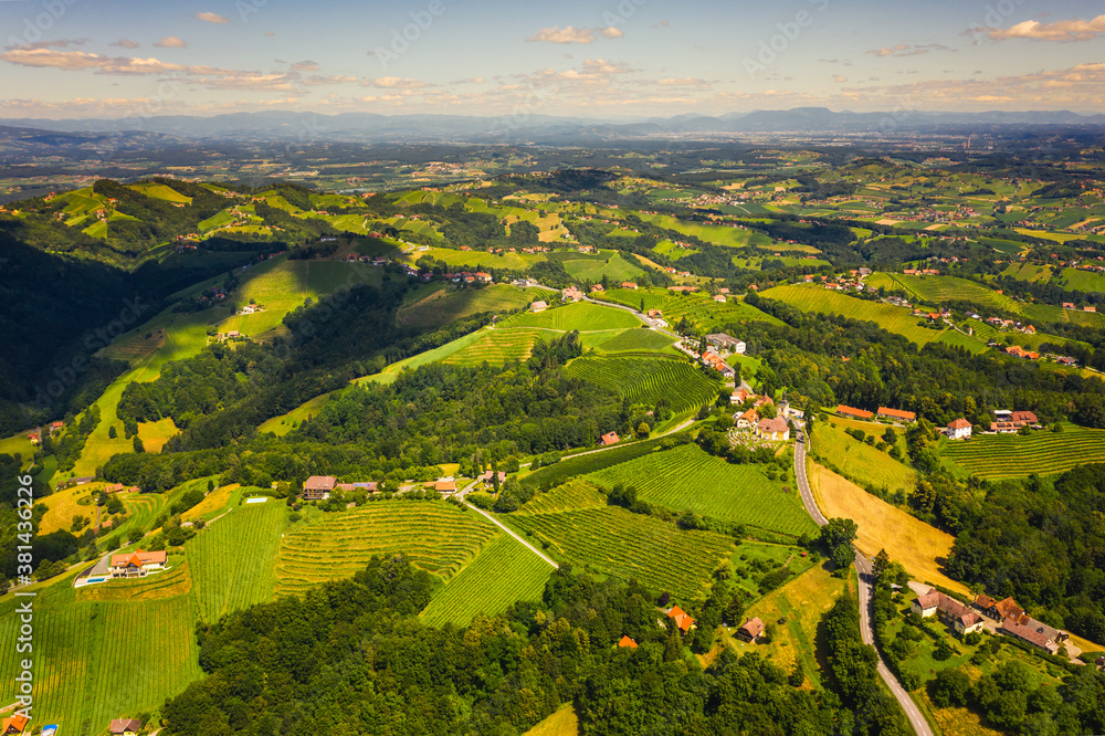 Aerial view of green hills and vineyards with mountains in background.
