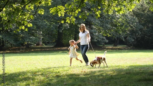 Mother with Daughter and a Dog Biggle run together happy in a Summer Park