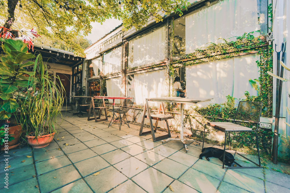 Naklejka premium sleeping black cat under chair in vintage coffee shop in spring season