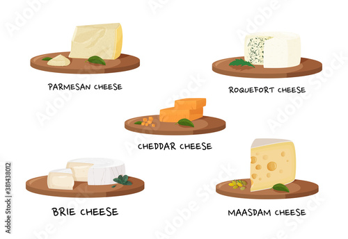 Various types of cheese. Realistic meal vector collection.
