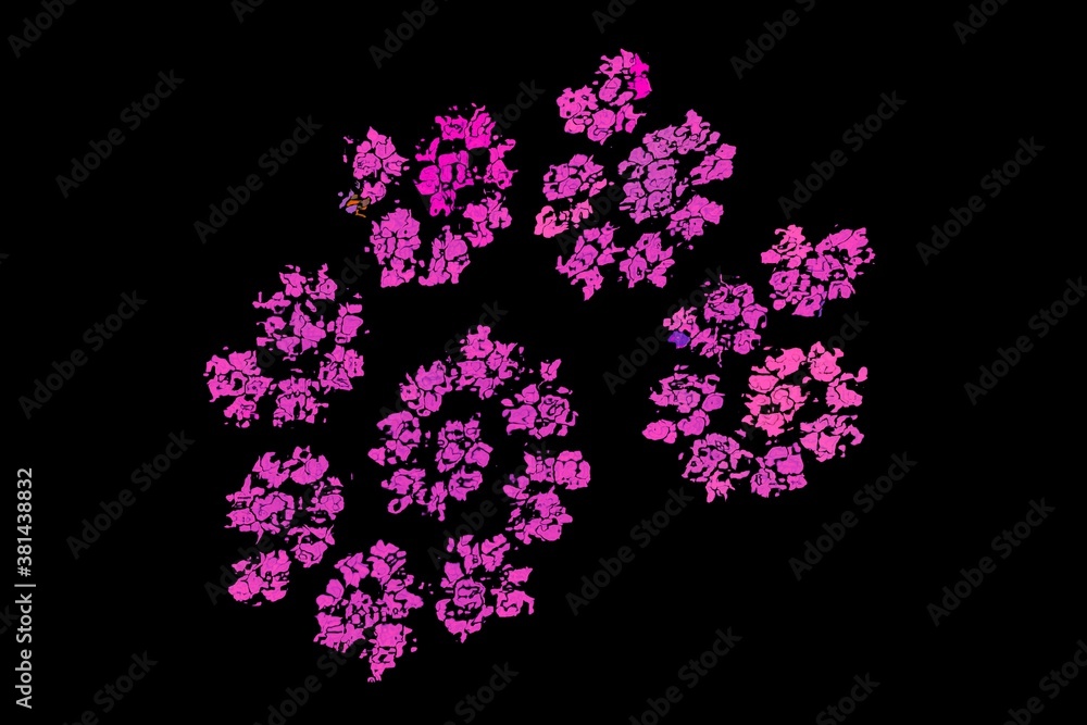 Abstract pink flower on a black background