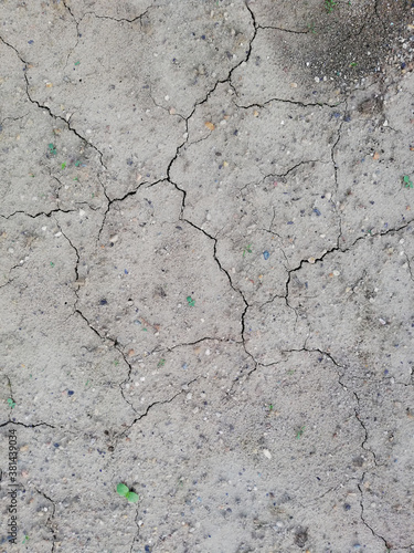 texture of dry grey soil with fall leaves