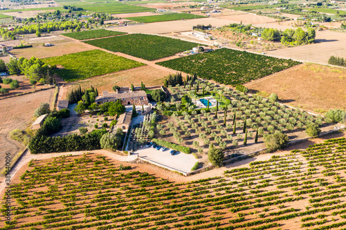 Aerial view, agriculture with olives and fields around santa Eugenia and Santa Maria, center of the island, Mallorca, Balearic Islands, Spain photo