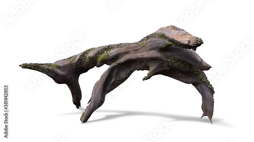 driftwood, dry tree branch with moss and barnacle isolated with shadow on white background