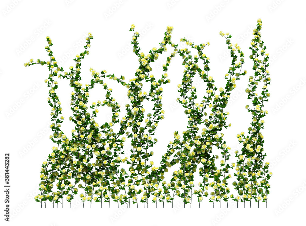 3d Render Brush Tree Isolated on white 3d Render Brush Tree Isolated on white