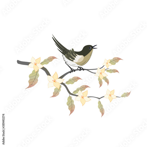 Nightingale bird with magnolia branch in oriental style isolated on a white background