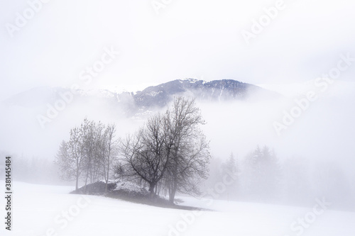 foggy morning in the alps (ID: 381445484)