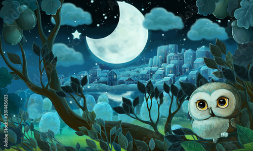 Fototapeta Naklejka Na Ścianę i Meble -  cartoon image with forest by night - illustration for kids