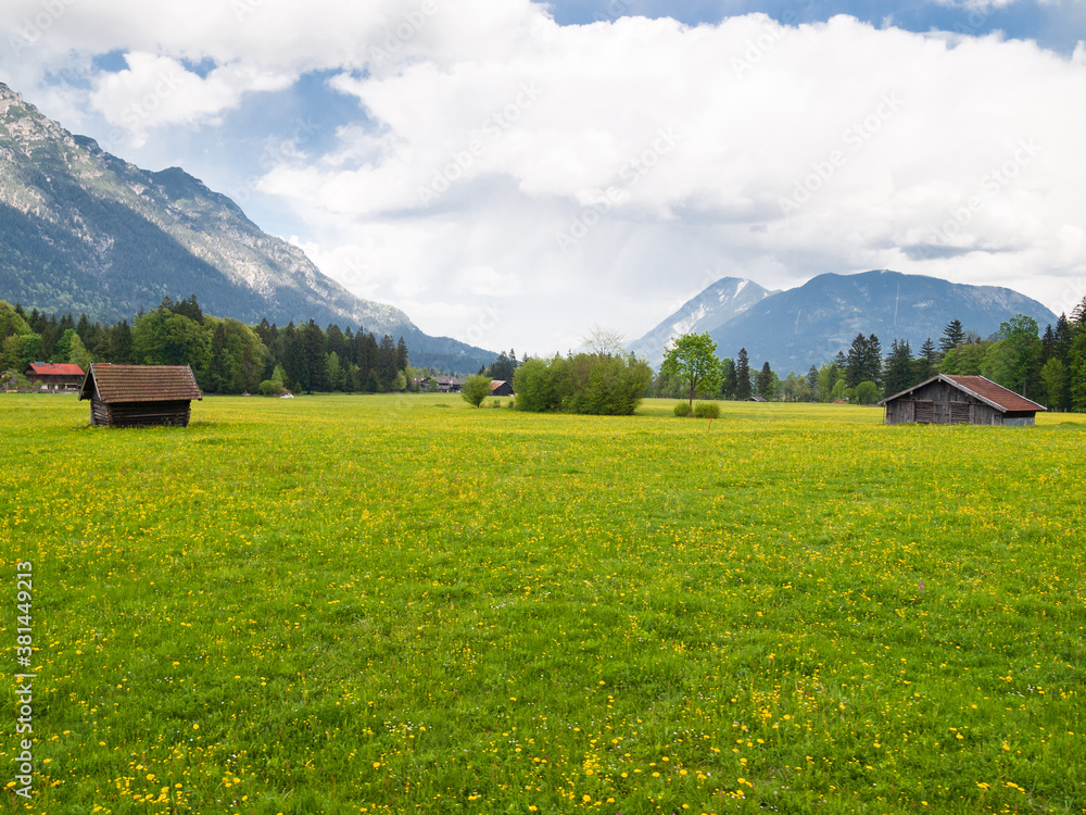 Meadow in the Alps, Germany