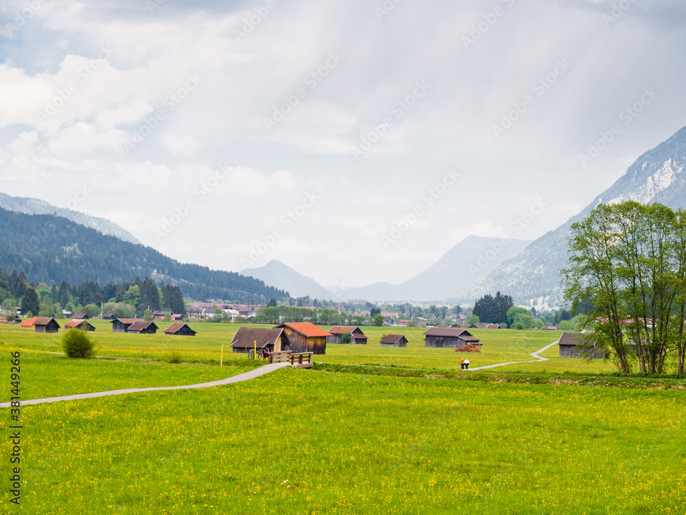 Obraz premium Meadow in the Alps, Germany