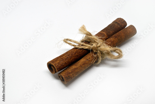 Two cinnamon sticks tied with string. White background, isolated.