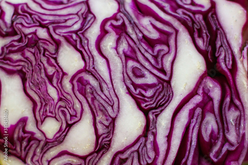 Purple cabbage slice close up